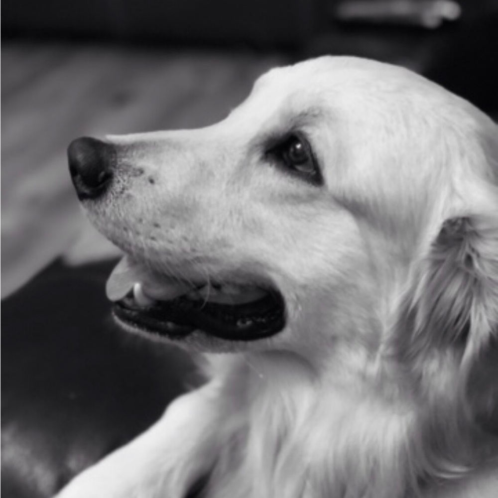 Meet your Posher, Kaya